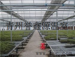 温室大棚苗床安装施工 精细操作提升生产效能