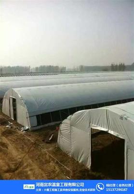 从设计到施工 高效建设富农温室与食用菌大棚的全面指南