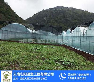 昆明智能温室大棚 现代化农业新引擎，宏阳温室引领专业安装与工程施工