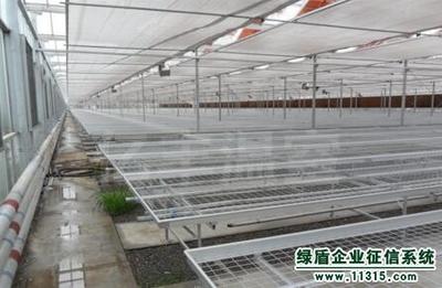 寿光亿丰温室工程 打造现代化农业的坚实后盾