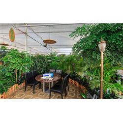 打造绿色餐饮新地标 聊城齐鑫温室生态餐厅设计与施工全解析