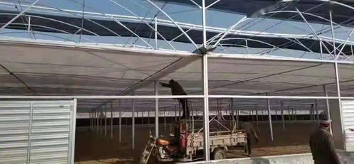 怀仁镇 抢抓春季黄金期，温室工程建设跑出加速度