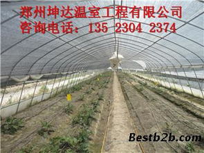 平顶山食用菌大棚与优质蔬菜温室建设指南 价格解析与厂家选择